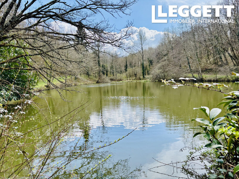 Vente Maison 2 magnifiques étangs en Charente, entourés de bois, dans un cadre paisible et idyllique. Pressignac