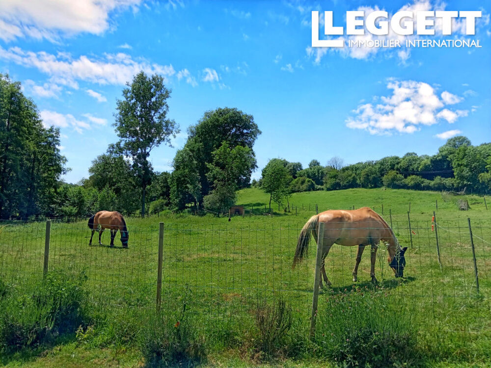 Vente Maison Propriété équestre sur presque 3 hectares, avec bois et ruisseau, maison de 4 chambres, grange et piscine. Mont-saint-jean