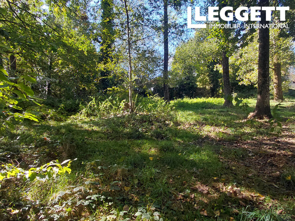 Vente Maison Grande propriété en pierre - Terrain de 9 823 m², nombreuses dépendances et potentiel de gîtes près de Plémet PlÉmet