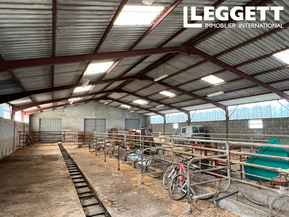Vente Maison Grande ferme avec deux maisons et plus de 36+ HA de terrain. Vues imprenables. Sans voisins. Sardent
