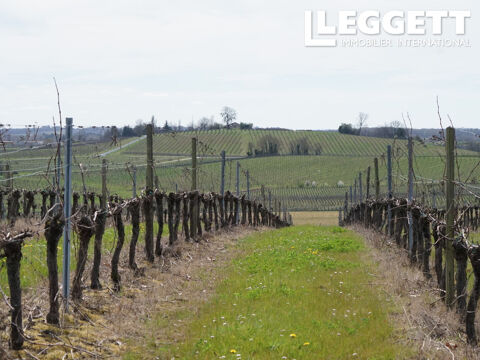 DOMAINE VITICOLE  ENTRE-DEUX-MERS 848000 33540 Castelviel