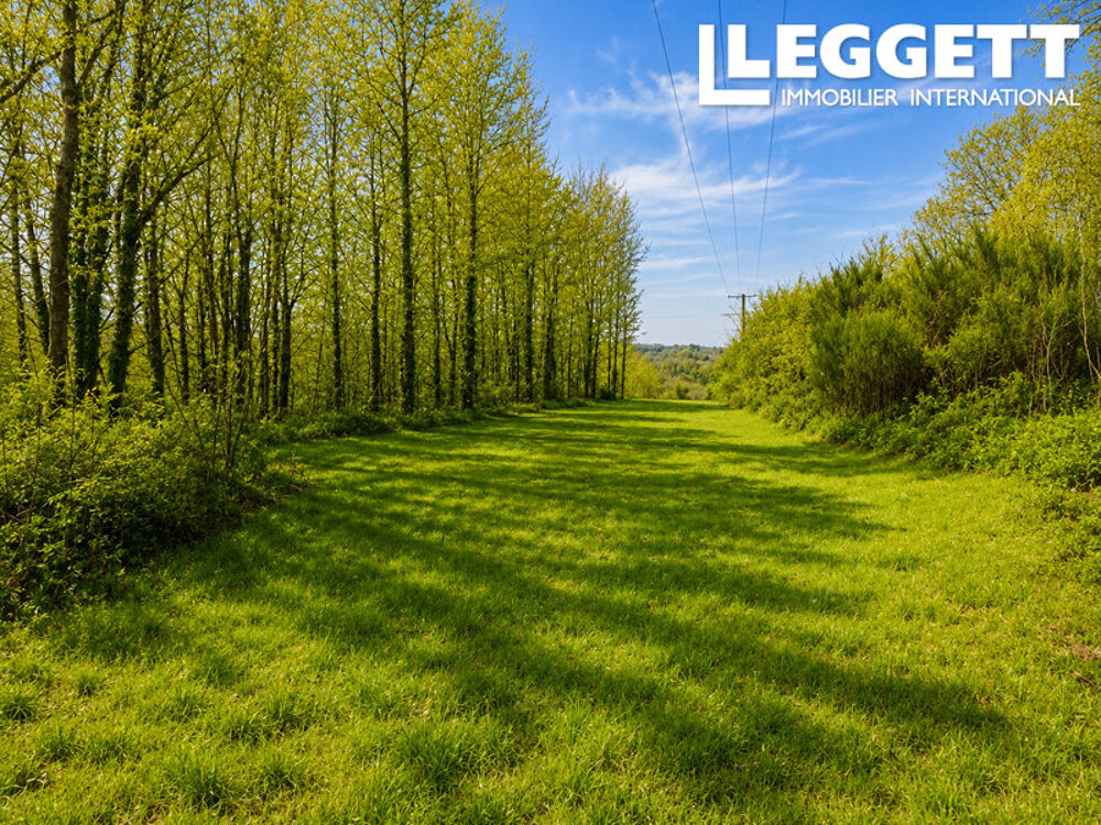 Vente Remise/Grange Beau terrain avec une grange en ruine avec CU Dournazac