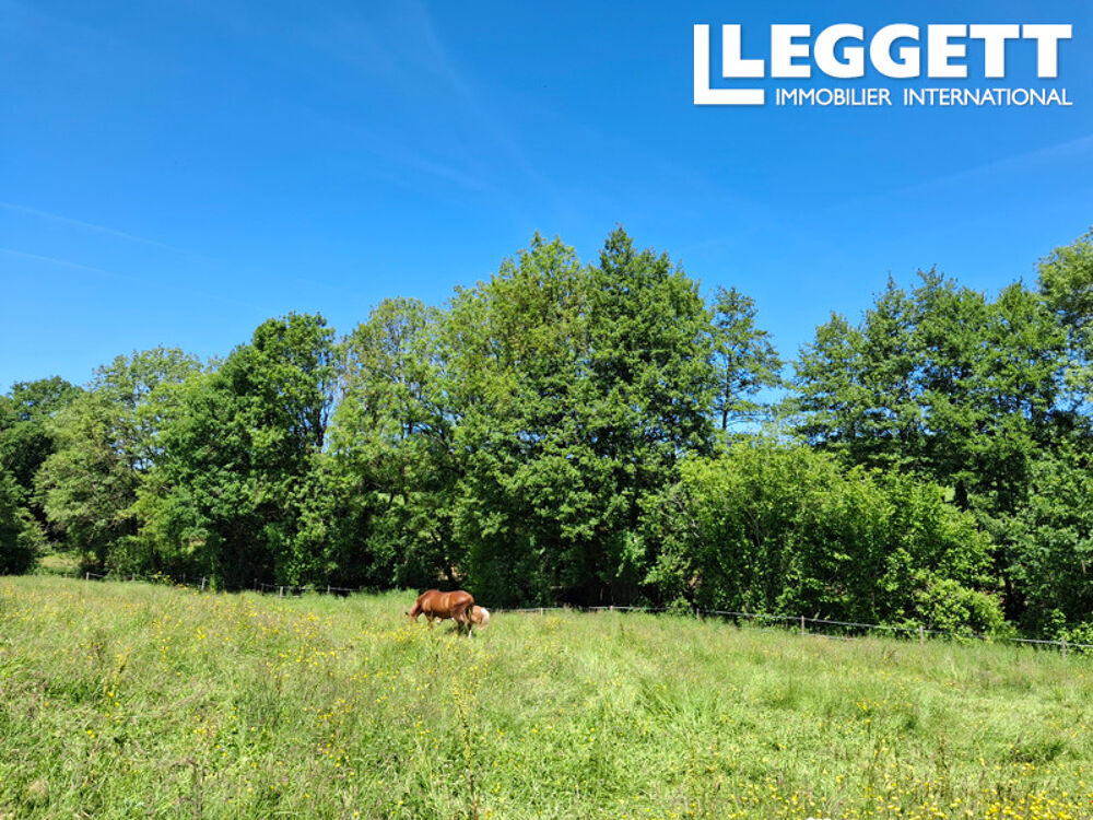 Vente Maison Maison individuelle, comprenant 3 chambres, 3 SDB, garage, atelier, studio et 1.6 hectare de terrain. Terres-de-haute-charente