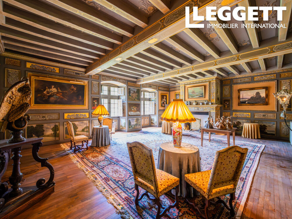 Vente Propriété/Château Magnifique château Renaissance sur 33 hectares avec étangs et décors classés Monument Historique. ChazÉ-sur-argos