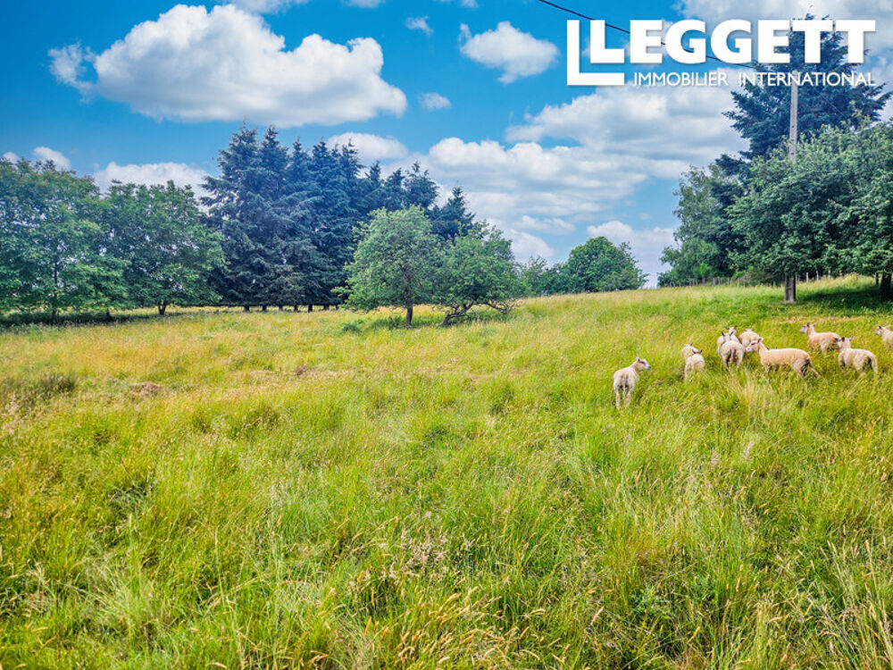 Vente Maison Une Rareté : Magnifique Propriété de Campagne au Charme Authentique avec Plus de 2 Ha de Terrain Naturel Privé SÉreilhac