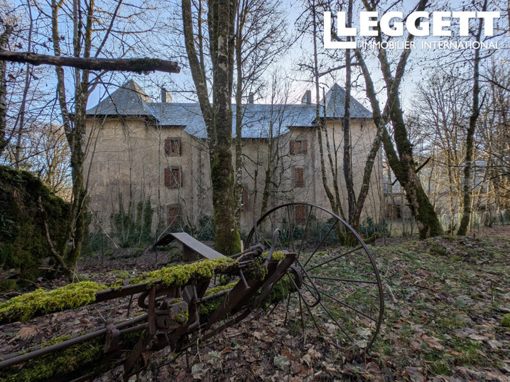 � vendre  Propri�t�/ch�teau Angl�s (81260)