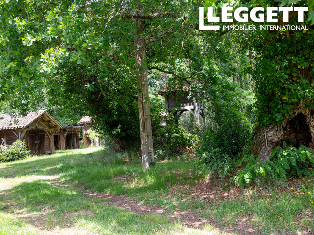 Charmante landaise de caractère, ancien pavillon de chasse, sur 6,2 ha de forêt avec piscine et dépendances
