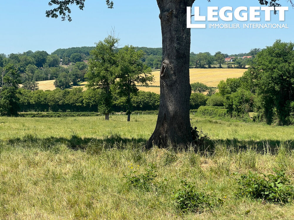 Propriété exceptionnelle, emplacement et vues magnifiques. Isolée. 5 chambres, 2 salles d'eau, grande piscine.