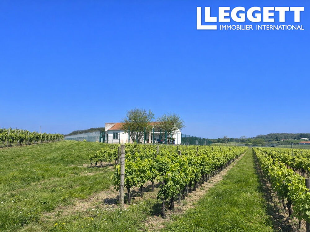 Vente Maison Maison individuelle et garage bien rénové avec une vue magnifique sur les vignobles près de Châteauneuf ChÂteauneuf-sur-charente