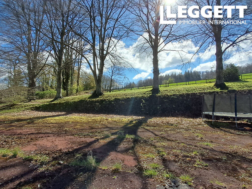 � vendre  Propri�t�/ch�teau Saint-Pierre-du-Regard (61790)