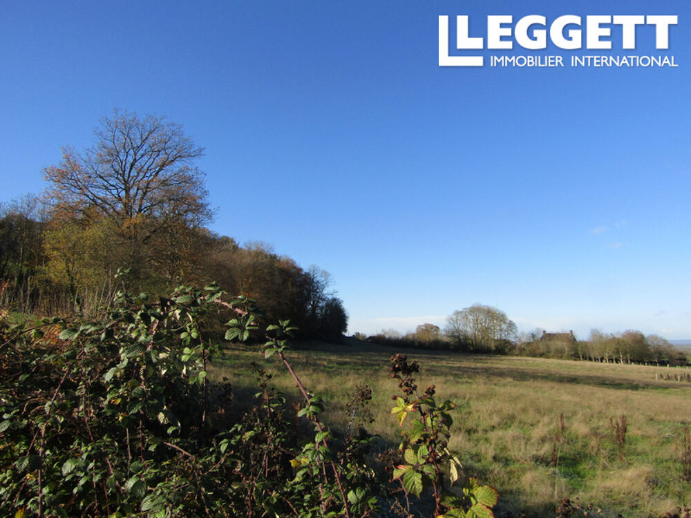 Vente Maison Charmante maison de maître à rénover avec jardin, dépendances et terrain attenant de 2,5 ha. Beau potentiel ! PrÉ-en-pail-saint-samson