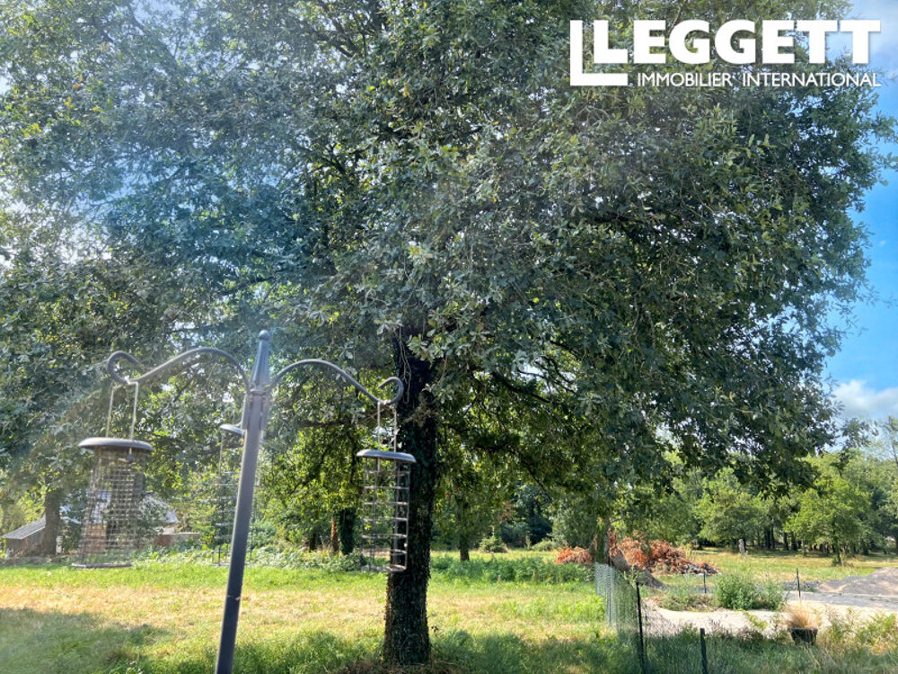 Charmante maison bretonne en pierre à LAMBEL, au coeur e la forêt de Camors