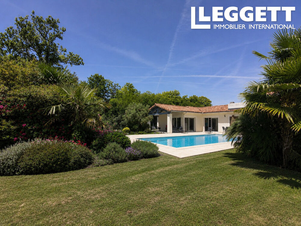 Maison contemporaine plain pied avec jardin et piscine