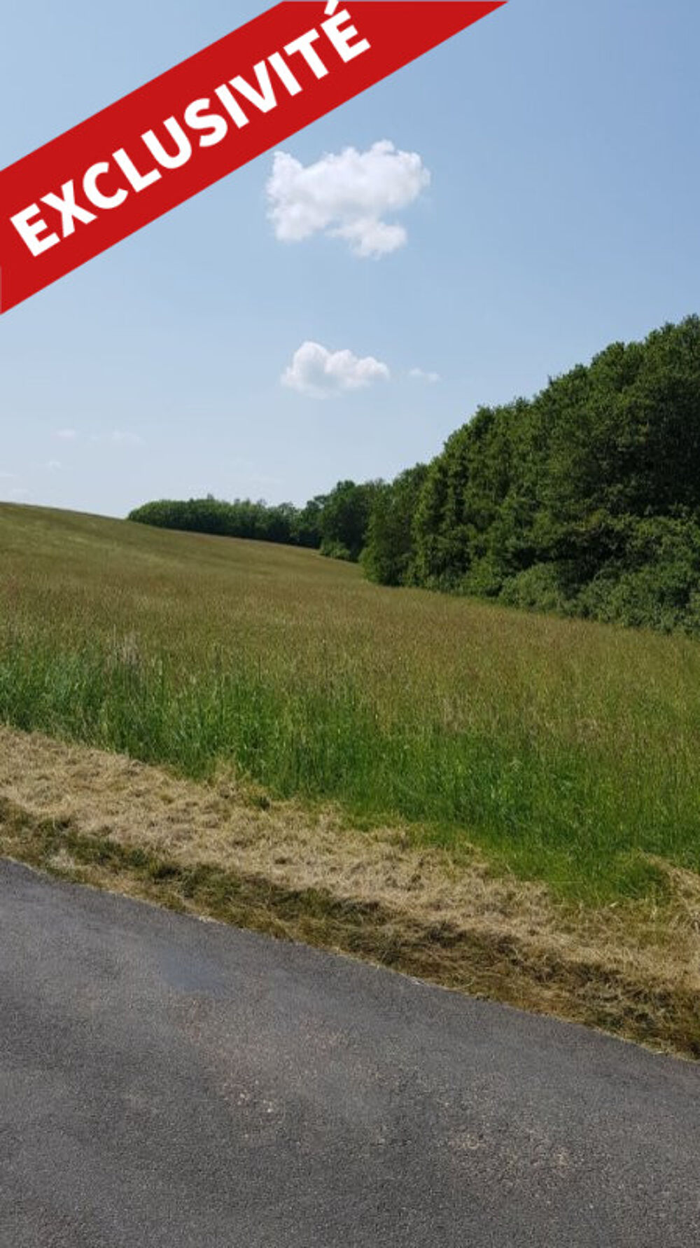 Vente Terrain A vendre terrain Poilly-lez-gien