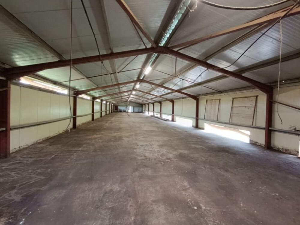 Vente Loft Btiment d'levage (550m) & chtaigneraie (2.5ha) Beaumontois-en-prigord