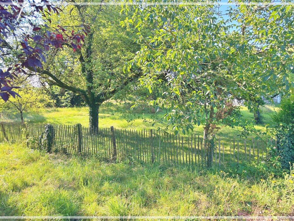 Vente Terrain Terrain libre constructeur Saint Denis Saint-denis-lès-bourg