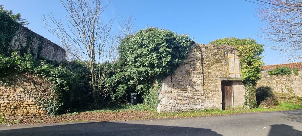 Vente Maison Terrain constructible avec ruines Thiré