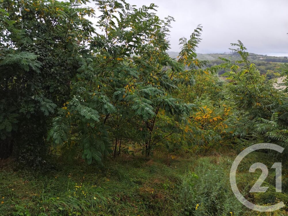 vente Terrain - 719 m� Burlats (81100)