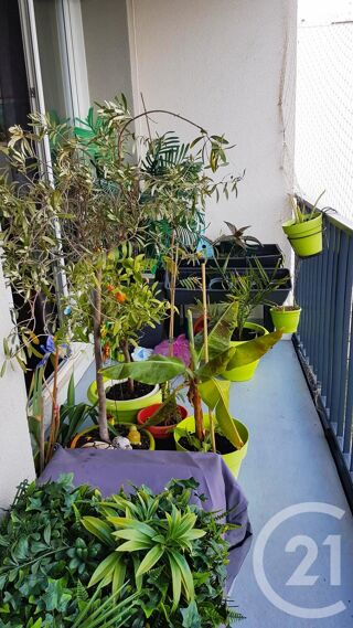  Appartement � vendre 2 pi�ces 49 m�