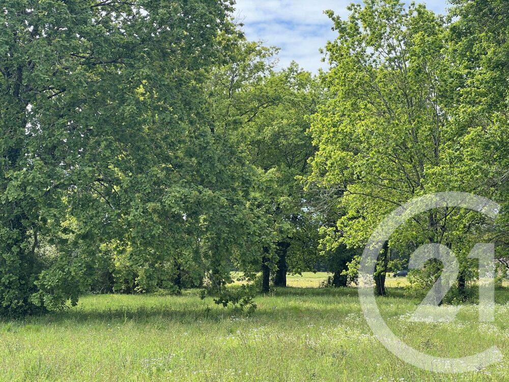 vente Terrain - 3447 m² Montpon-Ménestérol (24700)