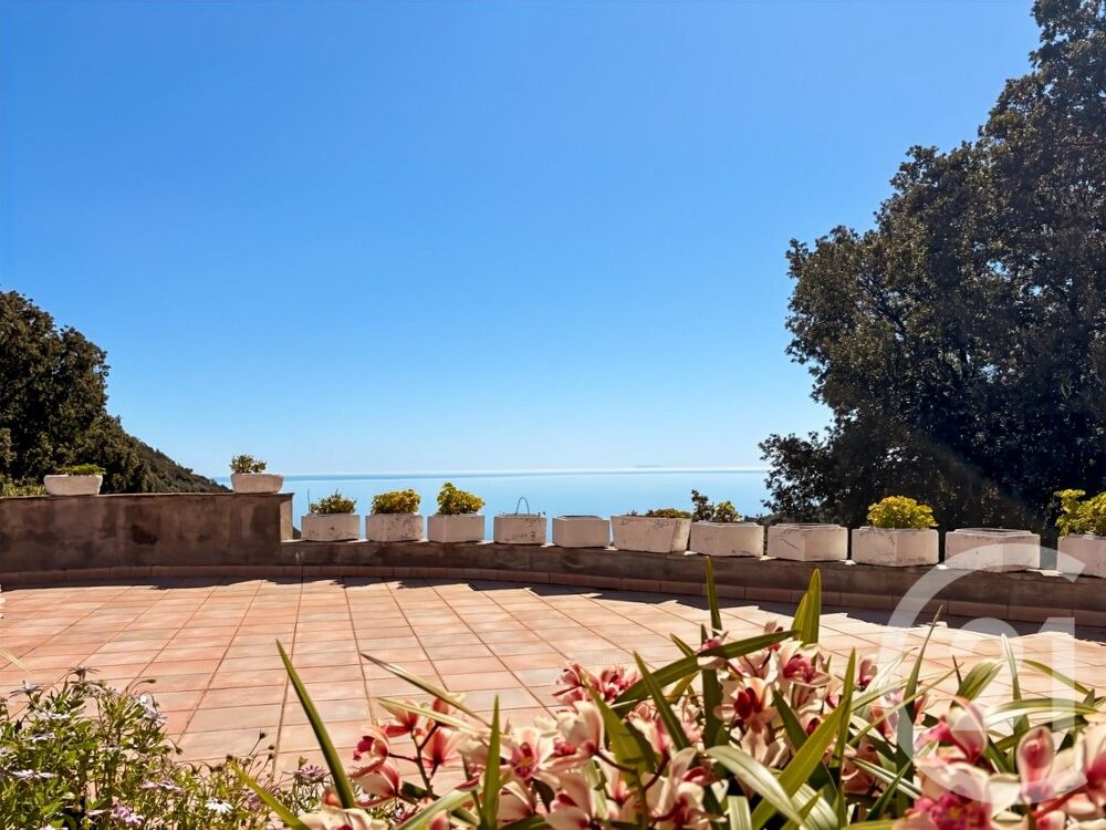 � vendre  Maison San-Martino-di-Lota (20200)