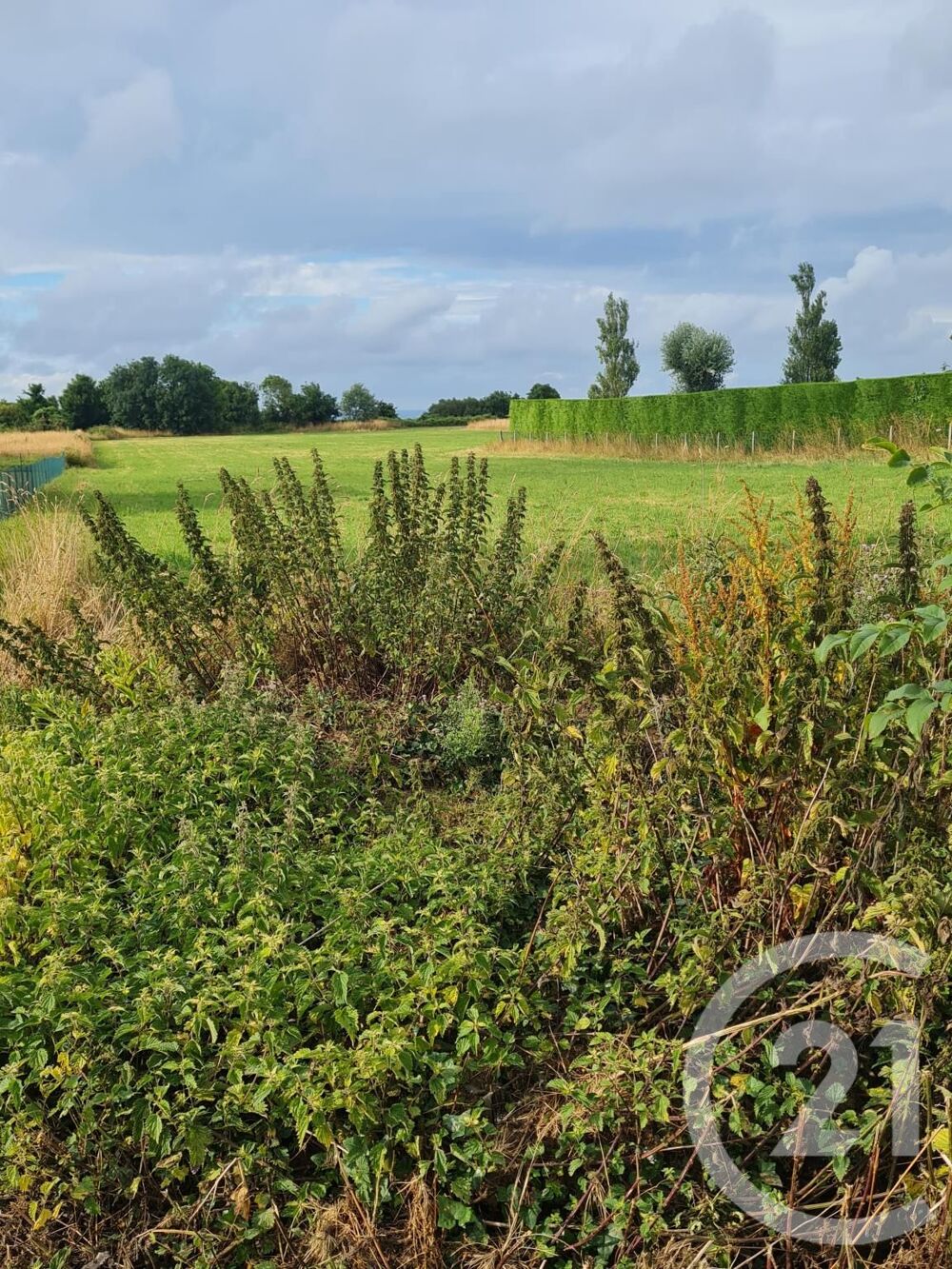 vente Terrain - 4472 m² Commes (14520)