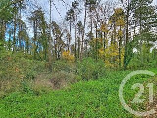  Terrain � vendre 45093 m�