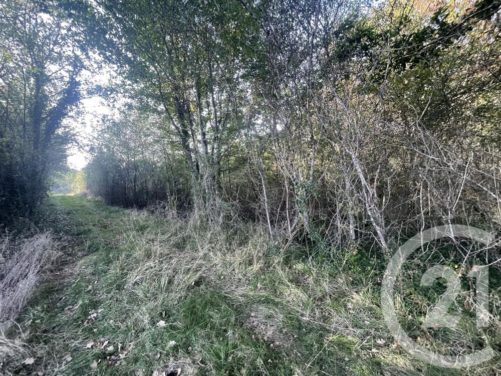 vente Terrain - 40623 m² Montpon-Ménestérol (24700)