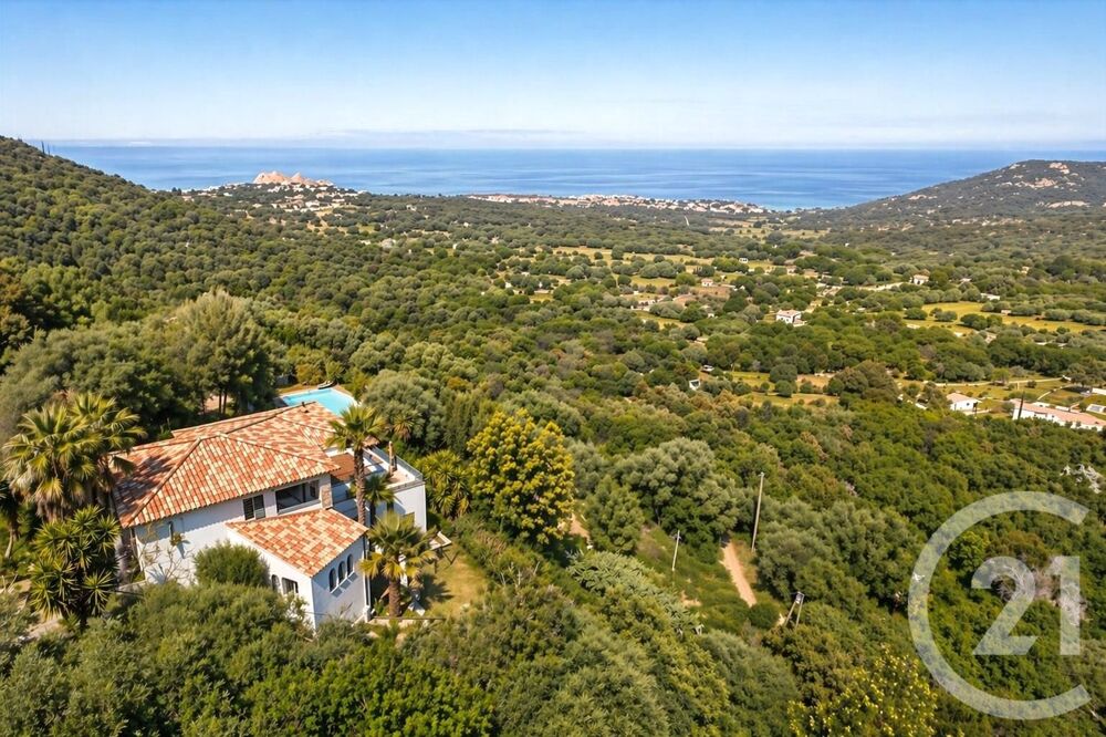 � vendre  Maison Monticello (20220)