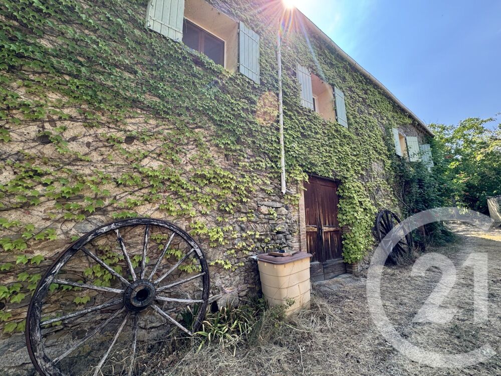 vente Maison - 5 pièce(s) - 239 m² Courtauly (11230)