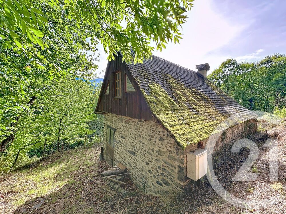 vente Maison - 1 pièce(s) - 29 m² Orgibet (09800)