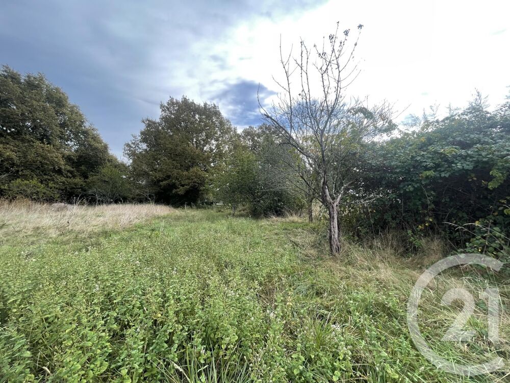 vente Terrain - 2491 m² Montpon-Ménestérol (24700)