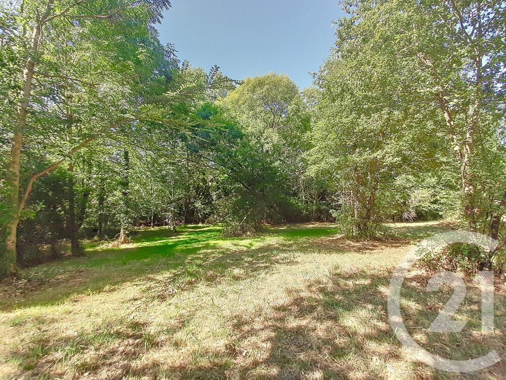 vente Terrain - 6300 m² Auterive (31190)