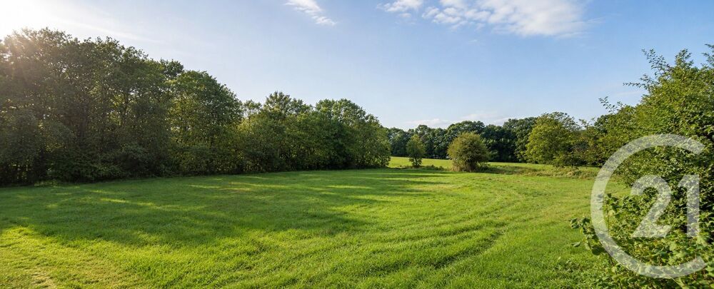 vente Terrain - 10620 m² Tabre (09600)