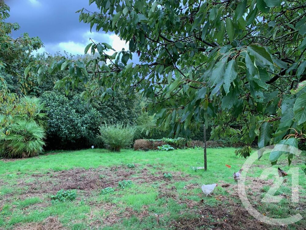 vente Terrain - 1094 m² Cesson-Sévigné (35510)