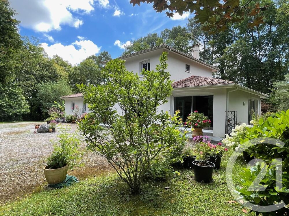 à vendre  Maison Dax (40100)