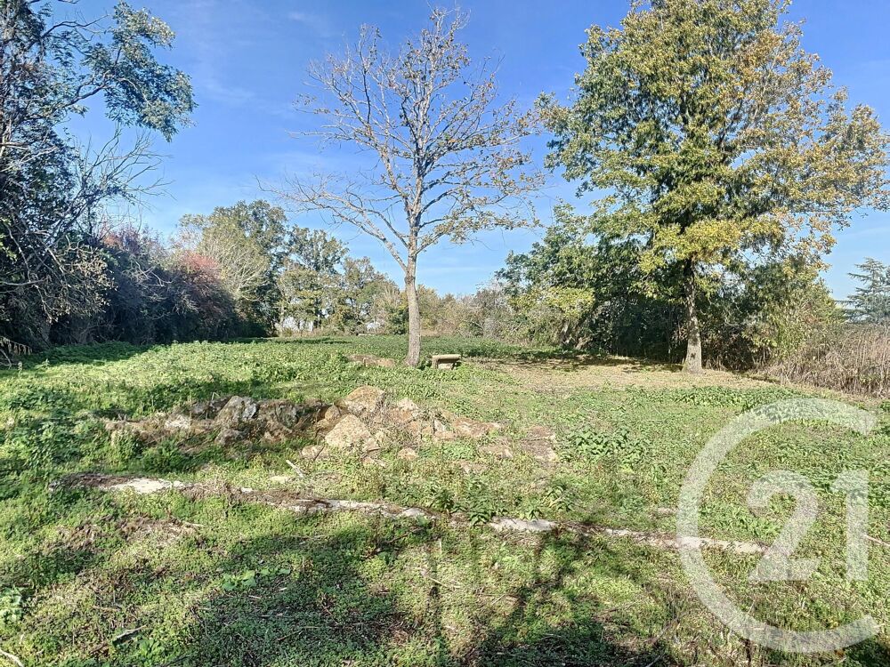 vente Terrain - 2708 m² Le Theil (03240)