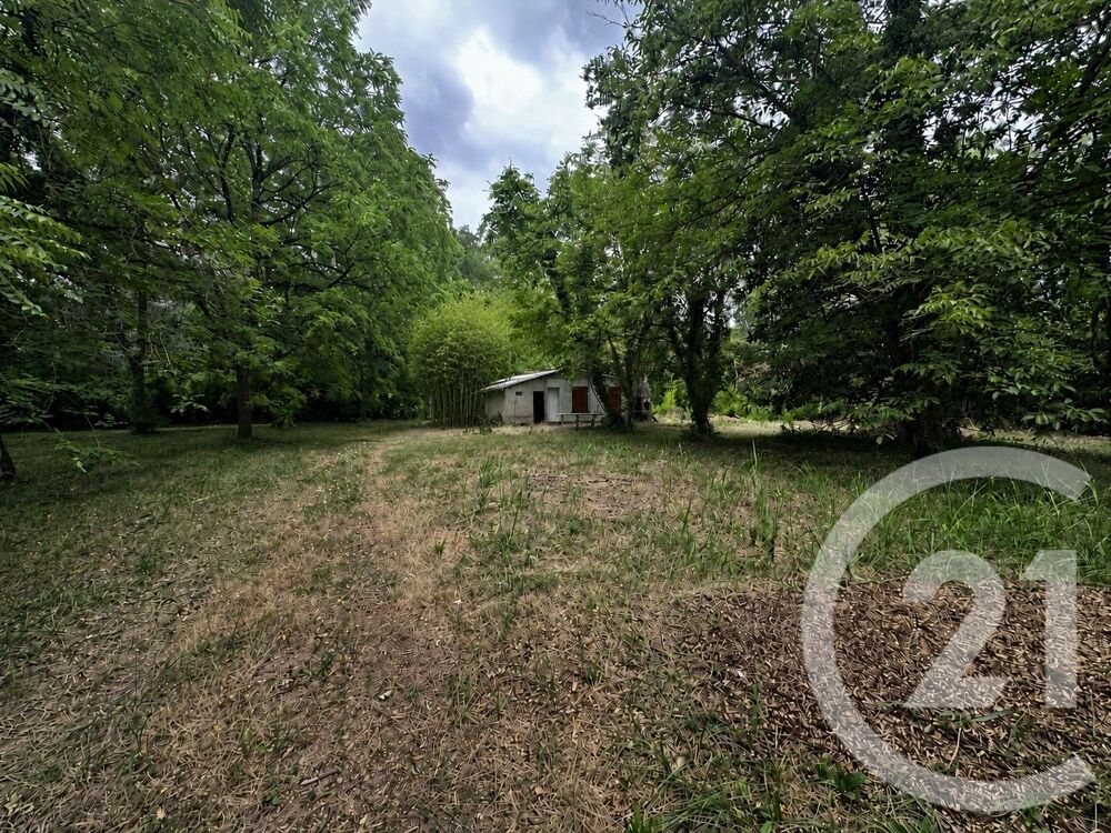 vente Terrain - 11849 m² Albi (81000)