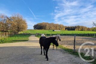  Maison � vendre 4 pi�ces 433 m�