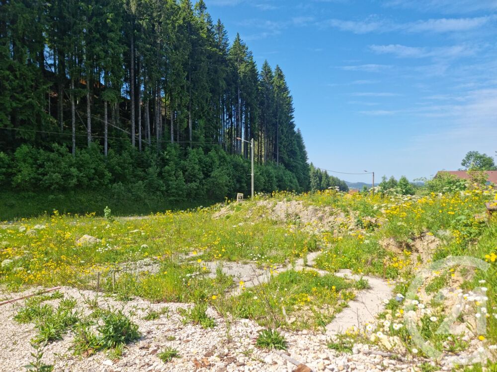 vente Terrain - 919 m² Lamoura (39310)