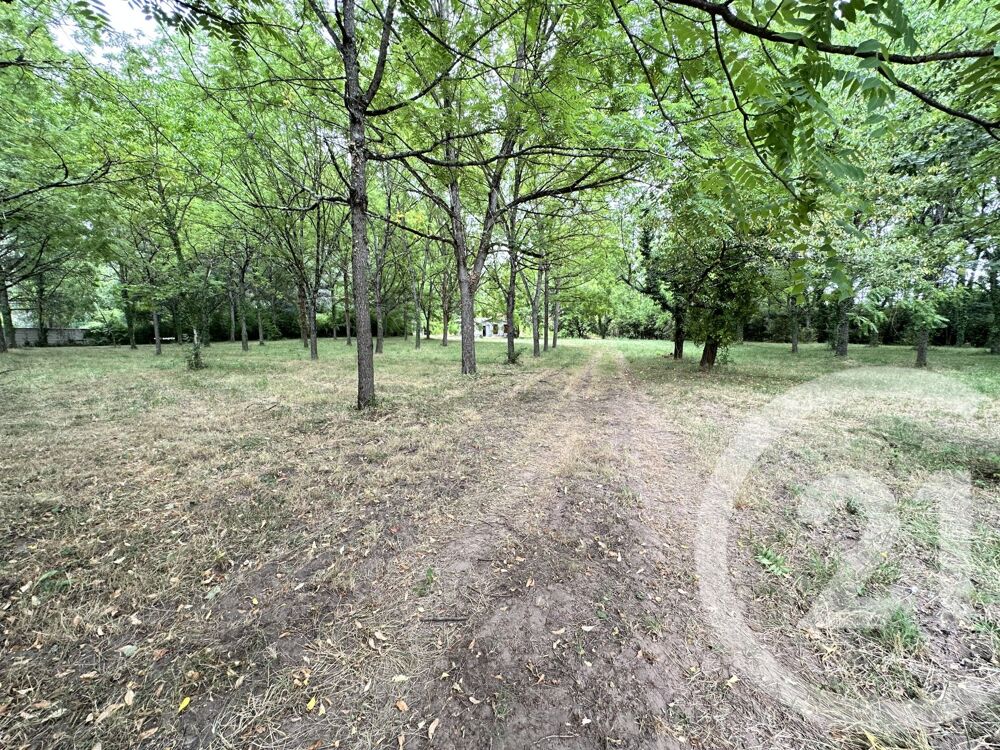 vente Terrain - 11849 m² Albi (81000)