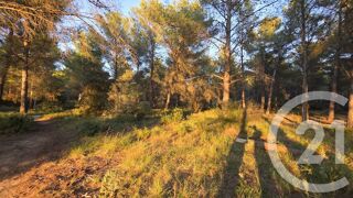  Terrain � vendre 5245 m�