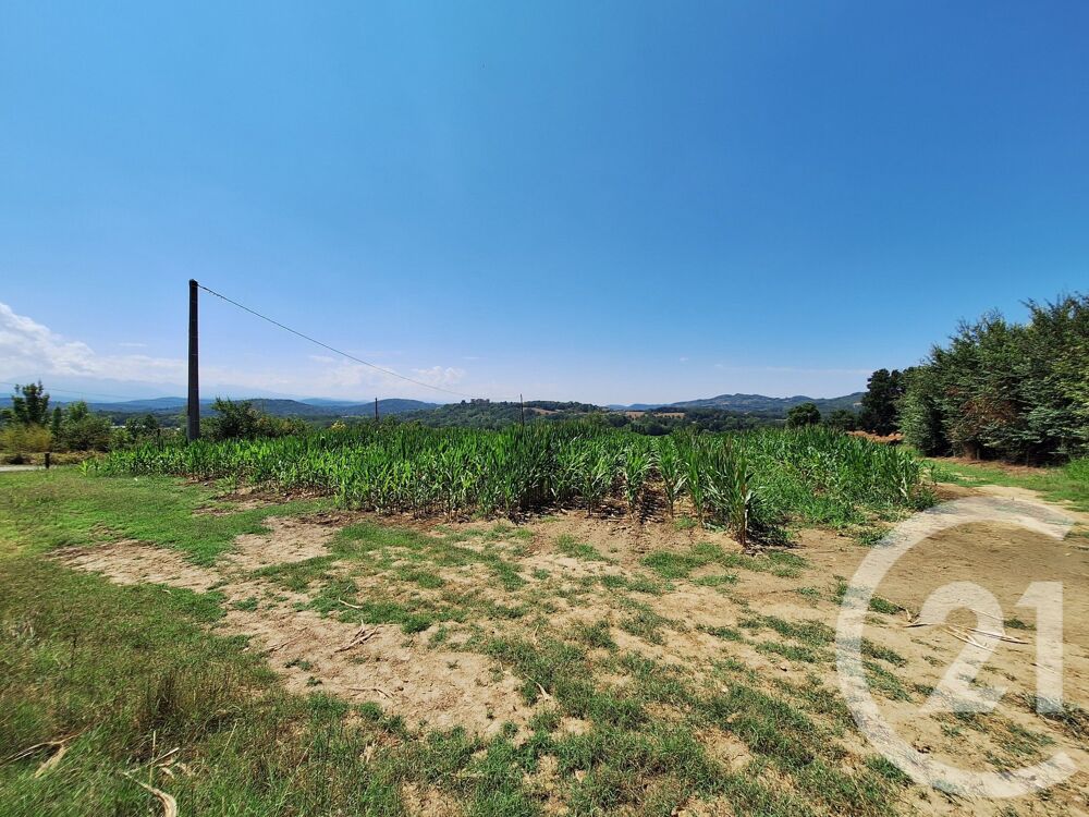vente Terrain - 10044 m² Tréziers (11230)