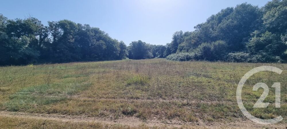 vente Terrain - 6305 m² Argelès-sur-Mer (66700)