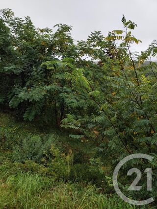  Terrain à vendre 719 m²