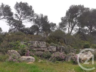  Terrain  vendre 548 m