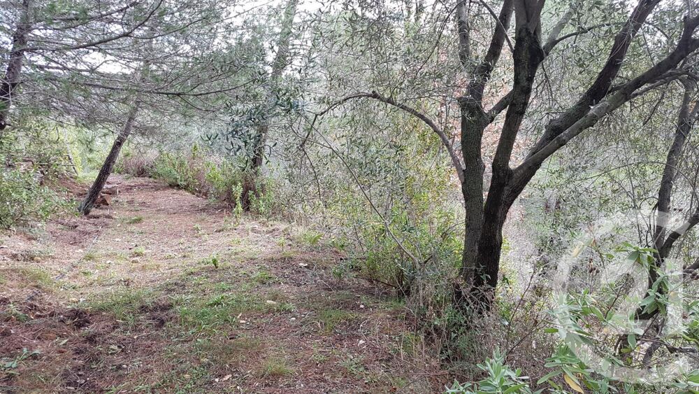 vente Terrain - 3764 m² Colomars (06670)