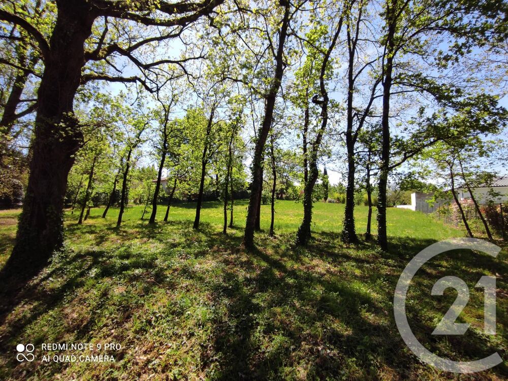 vente Terrain - 3283 m² Saïx (81710)