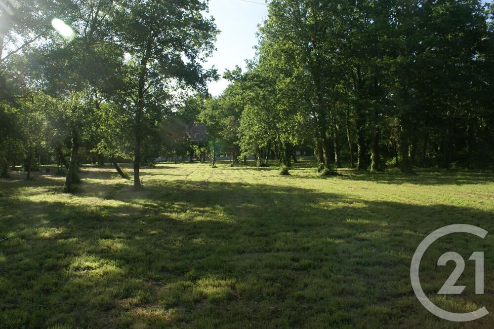 vente Terrain - 3960 m² Saint-Vivien-de-Médoc (33590)