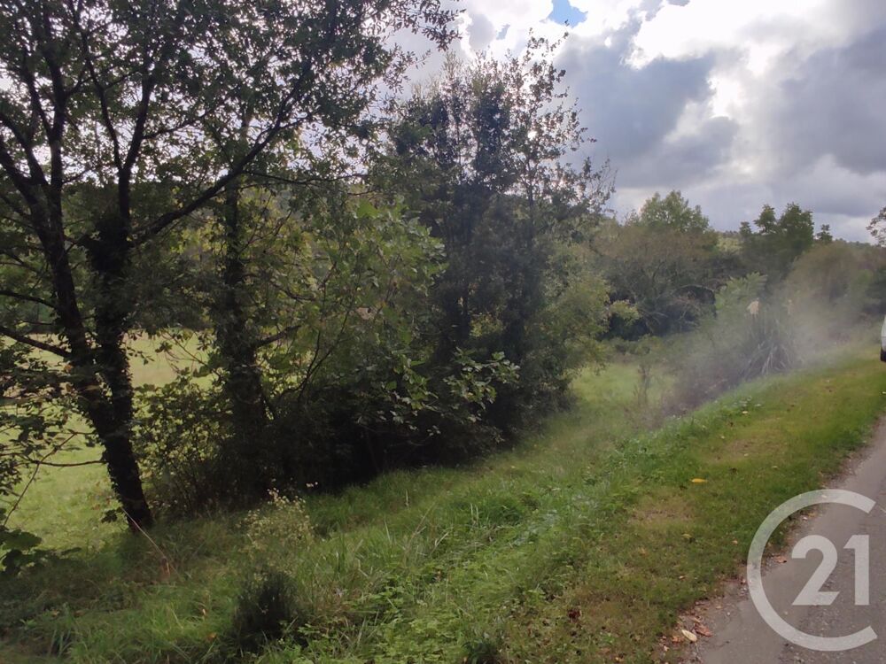 vente Terrain - 10136 m² Manses (09500)